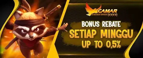 VIP Weekly Rebate Slot 0.5% promotion